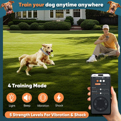 Aweec training collar closeup highlights adjustable correction levels.