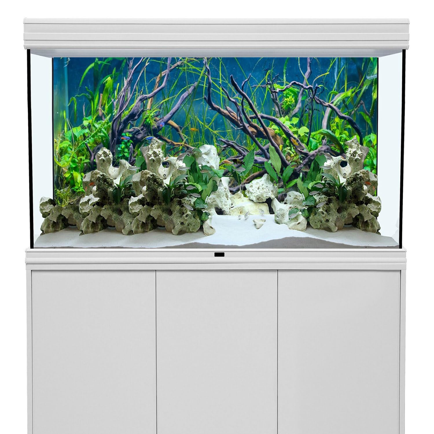 AWERT aquarium background with lake and plants boosts realism and habitat aesthetics.