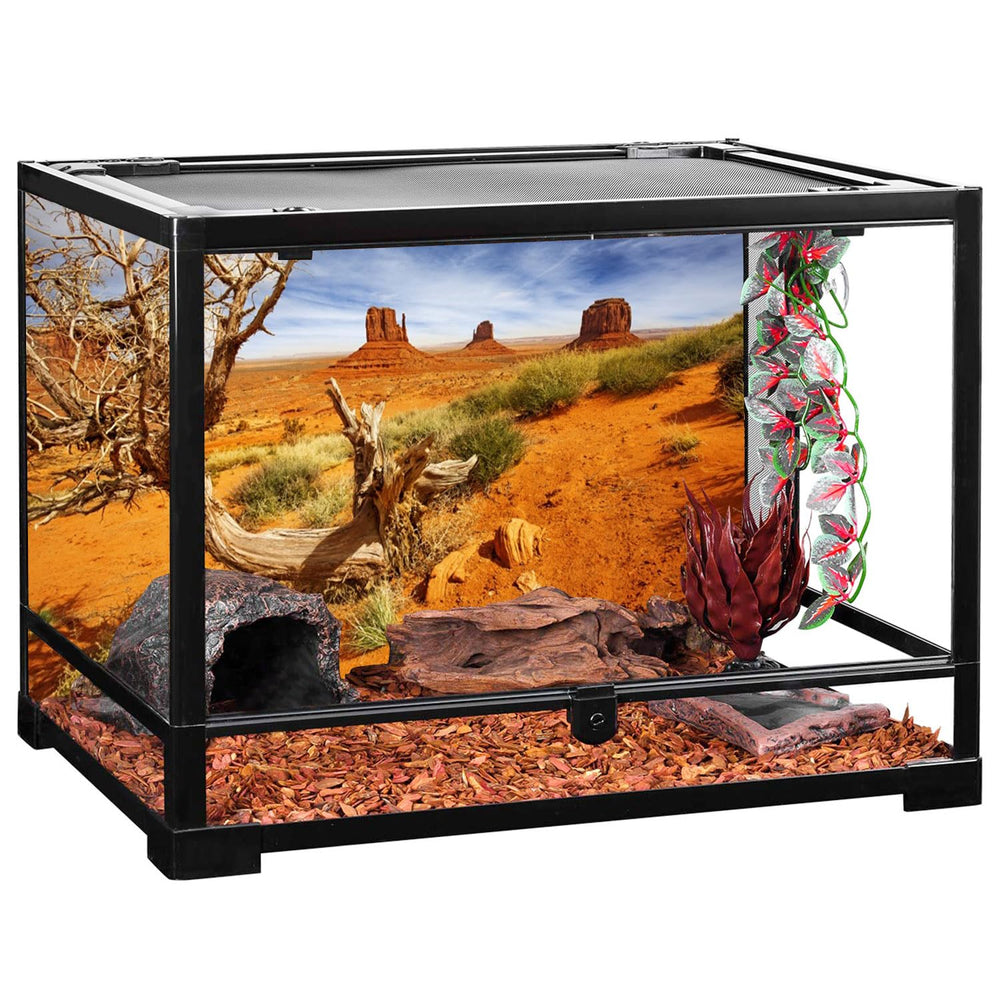AWERT custom background options showcase tailored terrarium aesthetics for unique habitats.