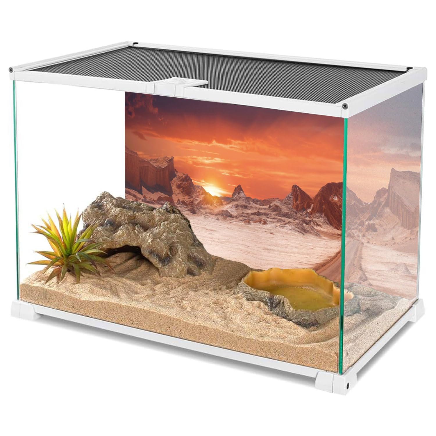 AWERT durable polyester desert terrarium background resists creases for repeated use.