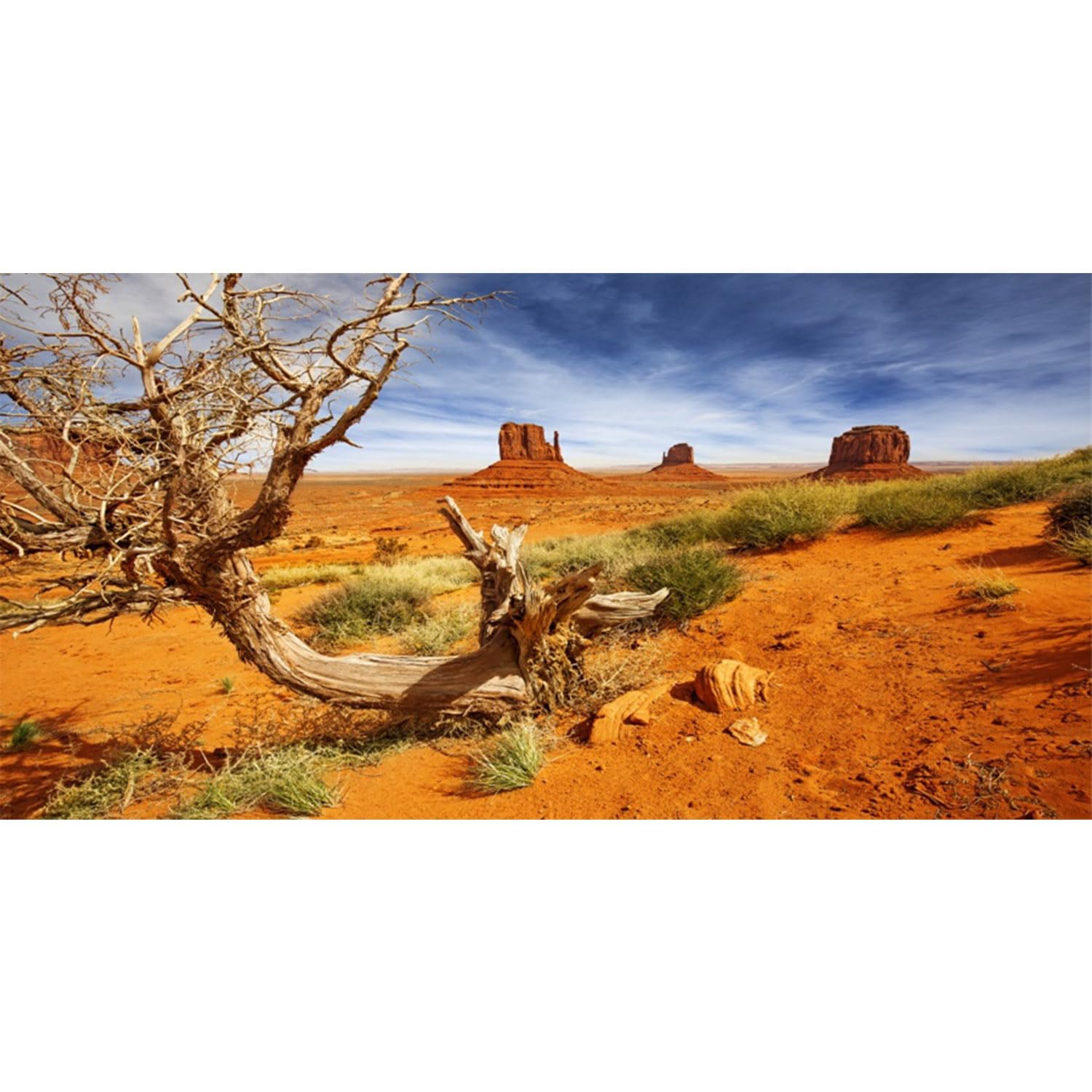 AWERT orange desert terrarium background 48x18 adds vibrant depth to reptile enclosures.