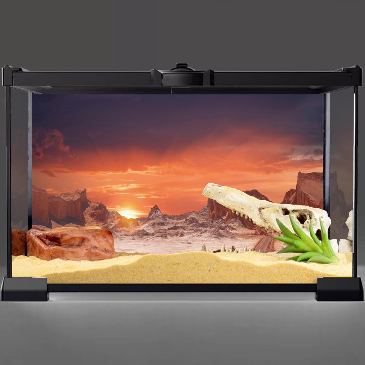 AWERT orange-sunset desert terrarium background HD enhances realism for desert-themed setups.