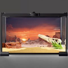 AWERT orange-sunset desert terrarium background HD enhances realism for desert-themed setups.
