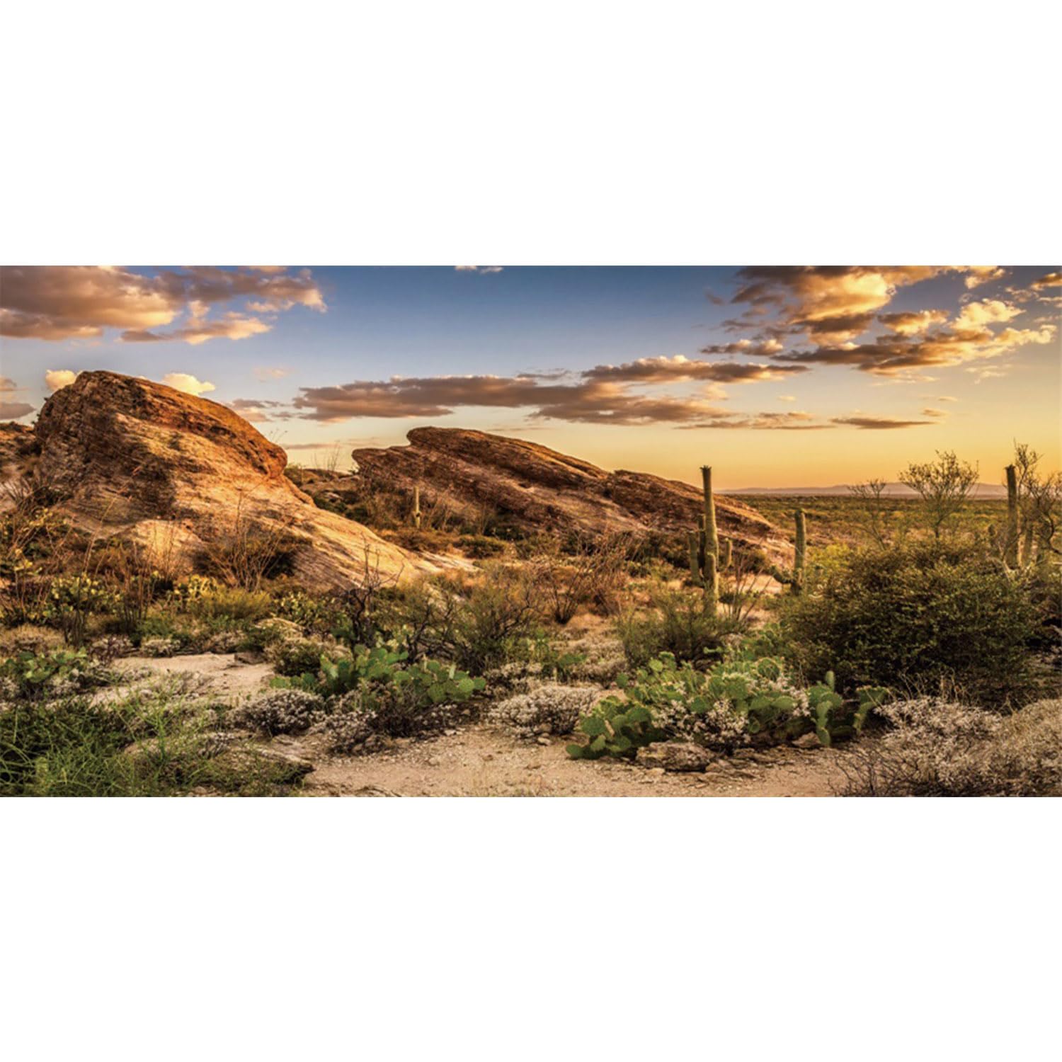 AWERT reptile background blue sky oasis enhances desert terrarium ambiance for calming viewing