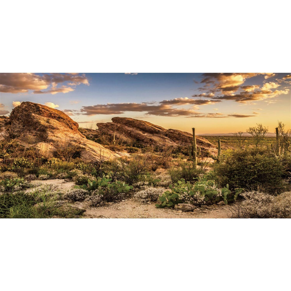 AWERT reptile background blue sky oasis enhances desert terrarium ambiance for calming viewing