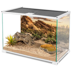 AWERT 36x18 background adds vibrant colors and non-glare surface for clear reptile viewing