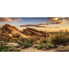 AWERT reptile background blue sky oasis enhances terrarium realism and depth