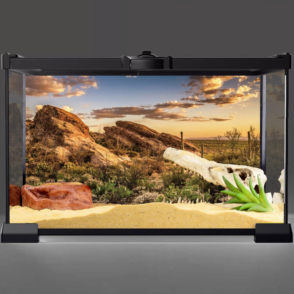 AWERT reptile background cactus desert scene adds natural ambiance to habitat