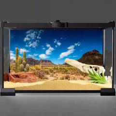AWERT reptile habitat vinyl backdrop enhances realism in terrarium settings.
