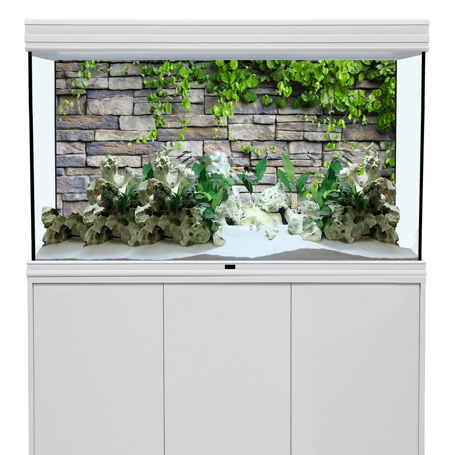 AWERT Rock Tank Backdrop creates natural habitat with glare reduction.