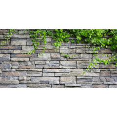 AWERT Stone Brick Wall Aquarium Background adds depth for colorful fish.