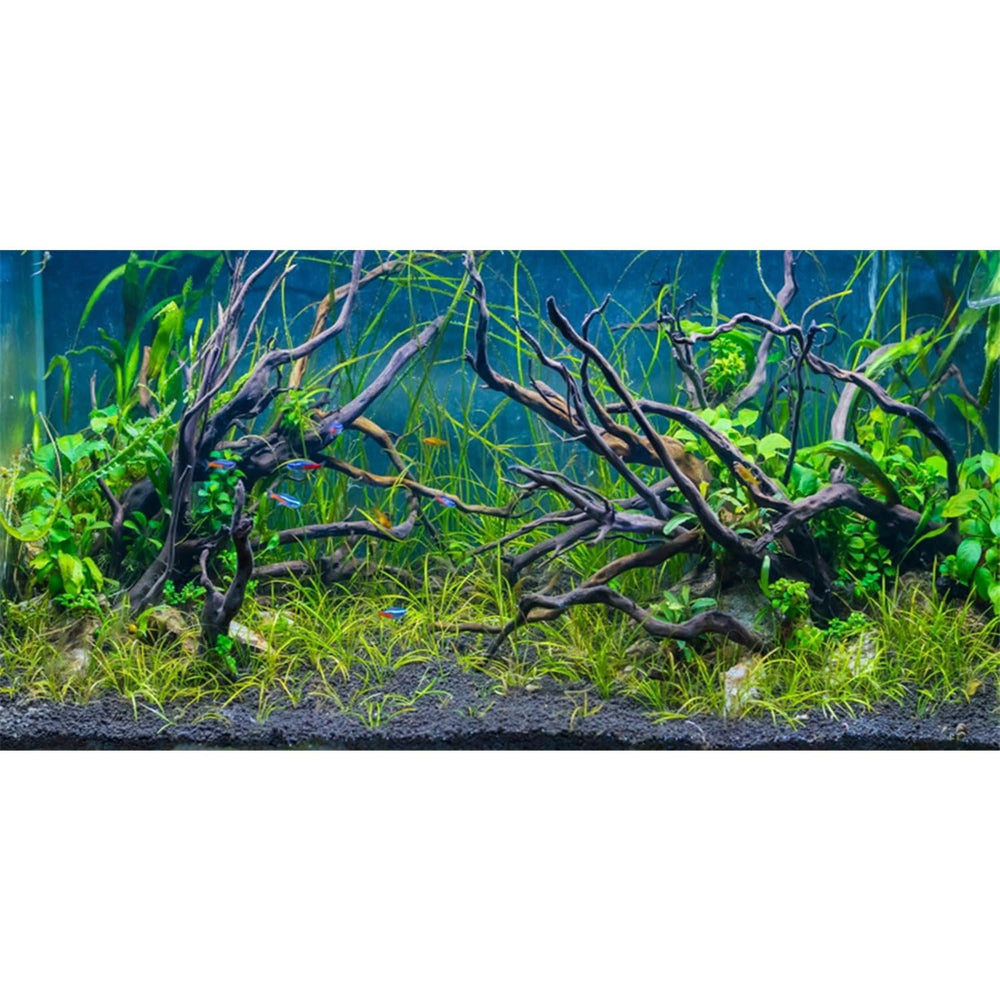 AWERT tropical fish tank background river bed enhances depth for vibrant underwater scenes.