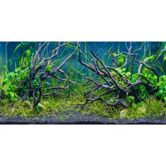AWERT tropical fish tank background river bed enhances depth for vibrant underwater scenes.
