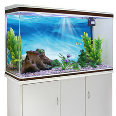 AWERT undersea background 30x18-inches vinyl provides a large realistic backdrop for tanks.