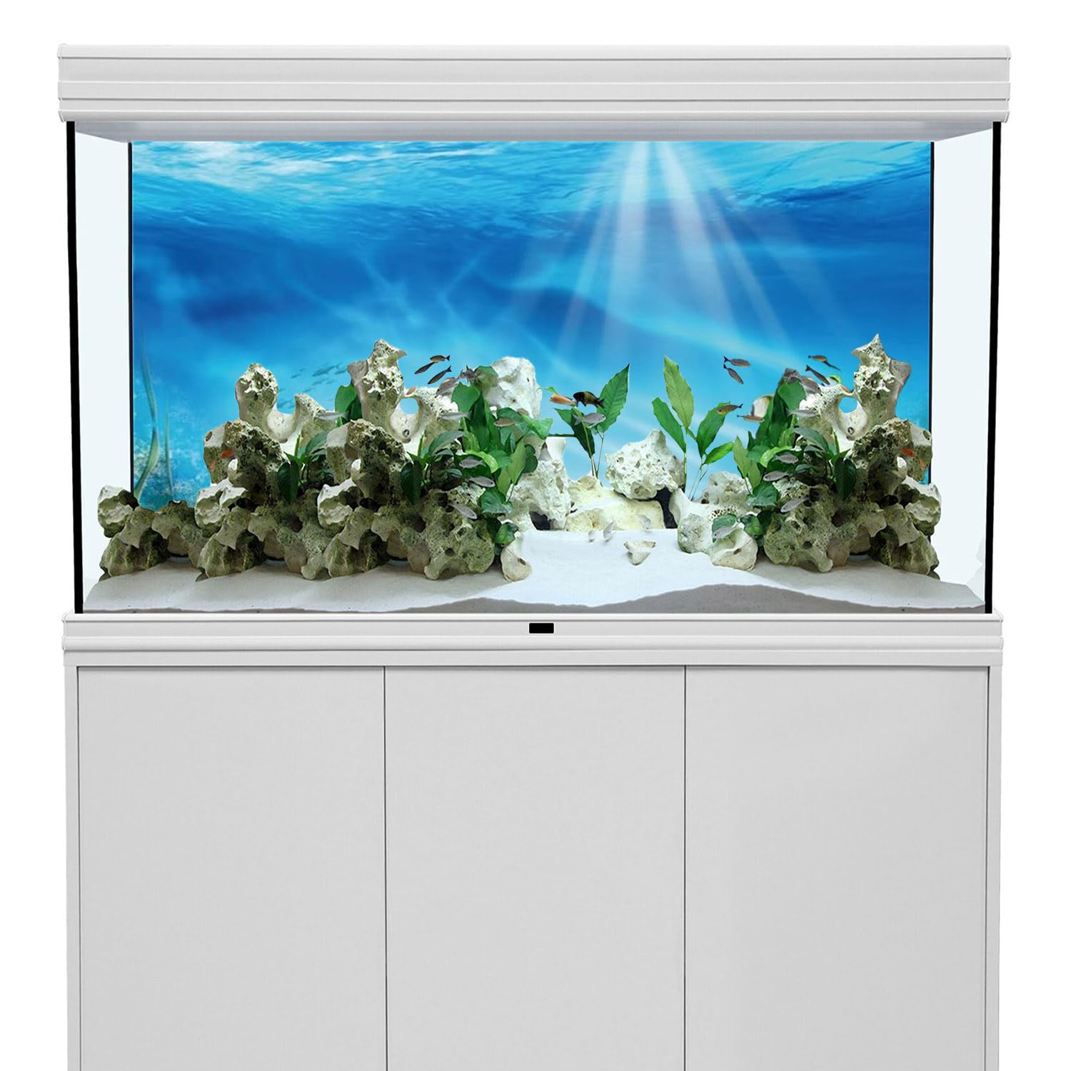AWERT undersea background sunshine-underwater-world design creates a bright, inviting habitat.