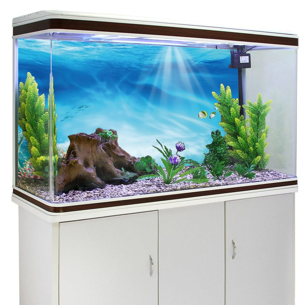 AWERT undersea background with dense reef scene adds immersive habitat depth for fish.