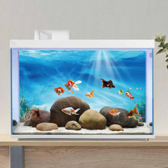 AWERT vinyl backdrop provides reusable, non glare backdrop that stays visually crisp.