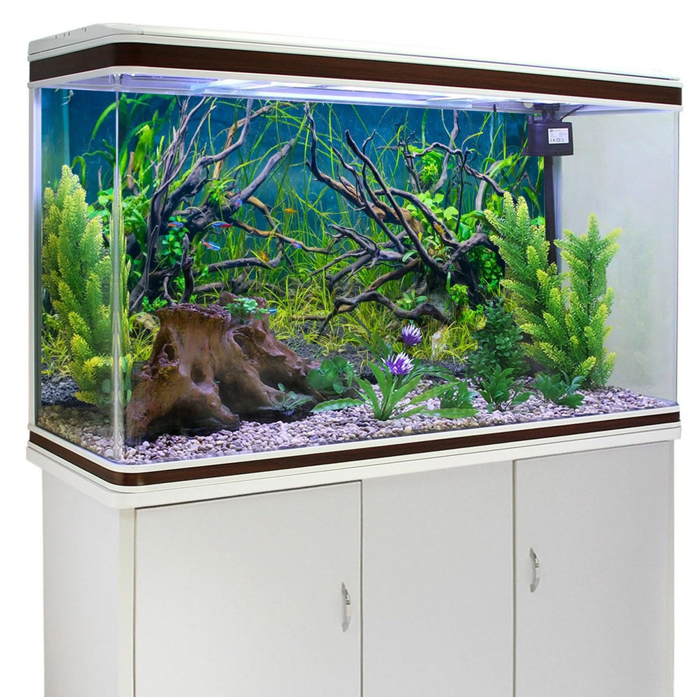 AWERT undersea tree-branch background creates a tranquil sanctuary vibe for aquatic life.