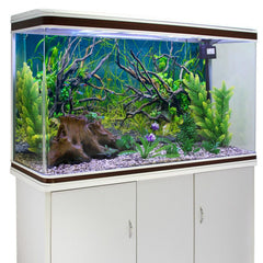 AWERT undersea tree-branch background creates a tranquil sanctuary vibe for aquatic life.