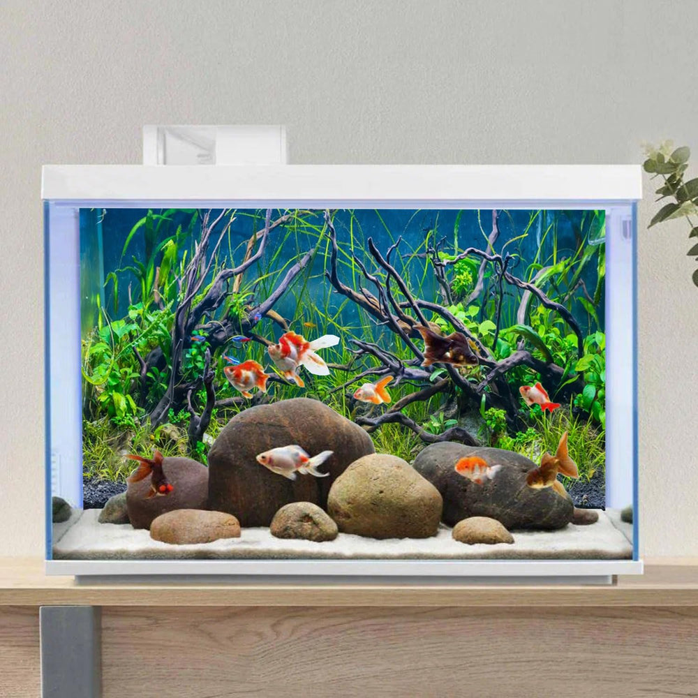 AWERT vinyl background for aquariums delivers durable, reusable decor with a no-glare finish.