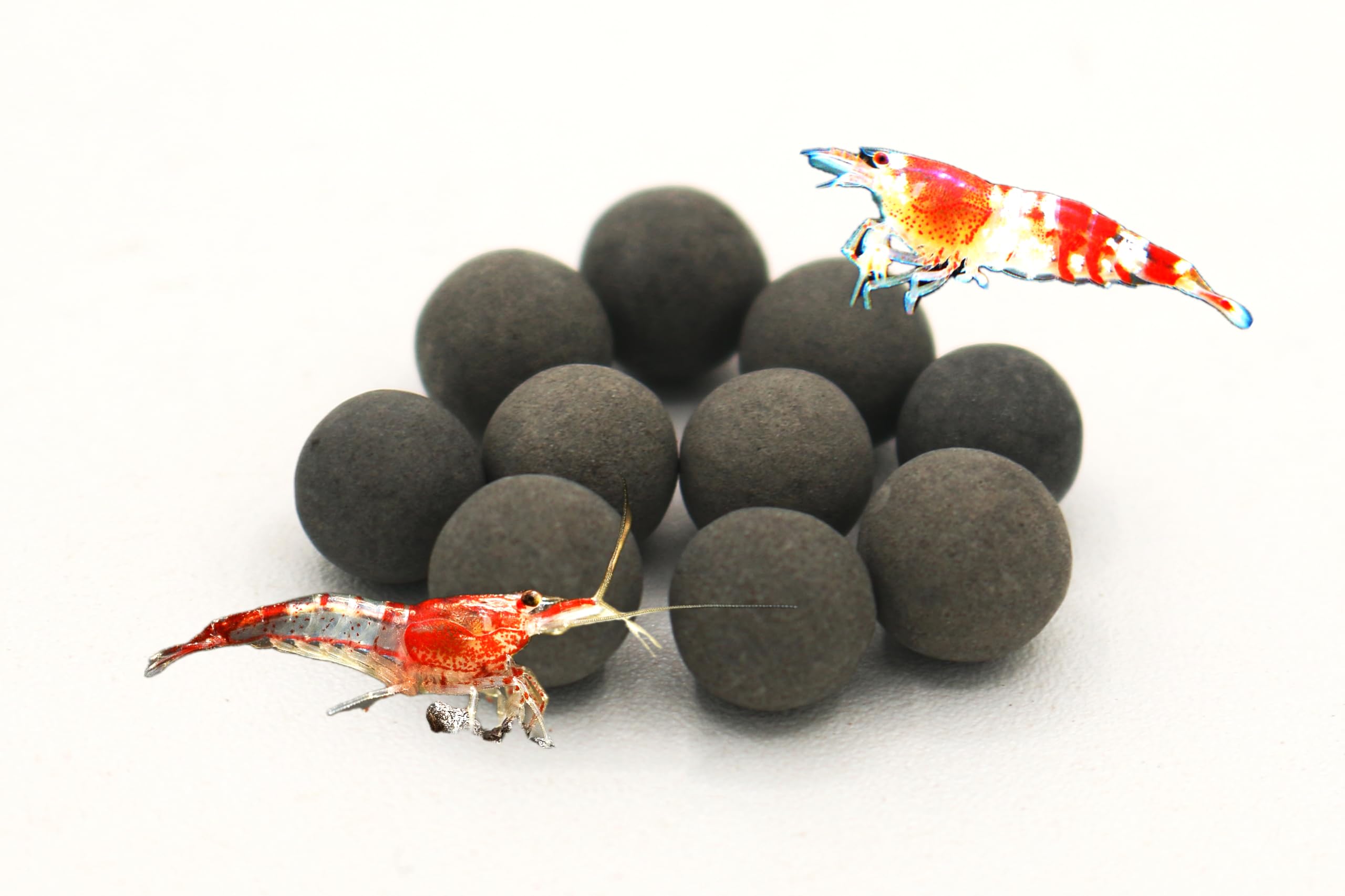 Awesome Aquatic betta tank with mineral balls highlighting stress reduction and color-friendly water