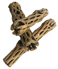 Awesome Aquatic cholla chain fruit offers climbing enrichment and safe habitat features.