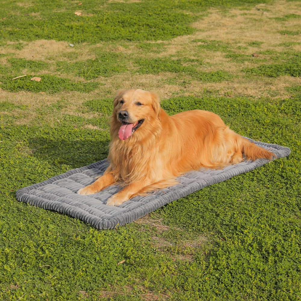 Awjcsv non-slip bottom dog seat cover staying in place as pets move
