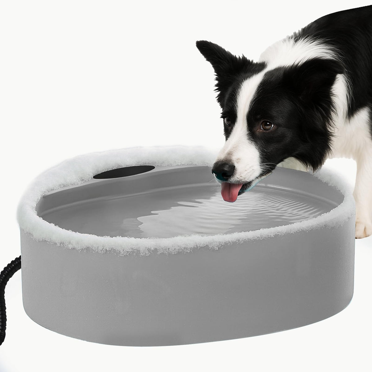 AWLYLNLL large heated water bowl outdoors keeping pets hydrated in winter