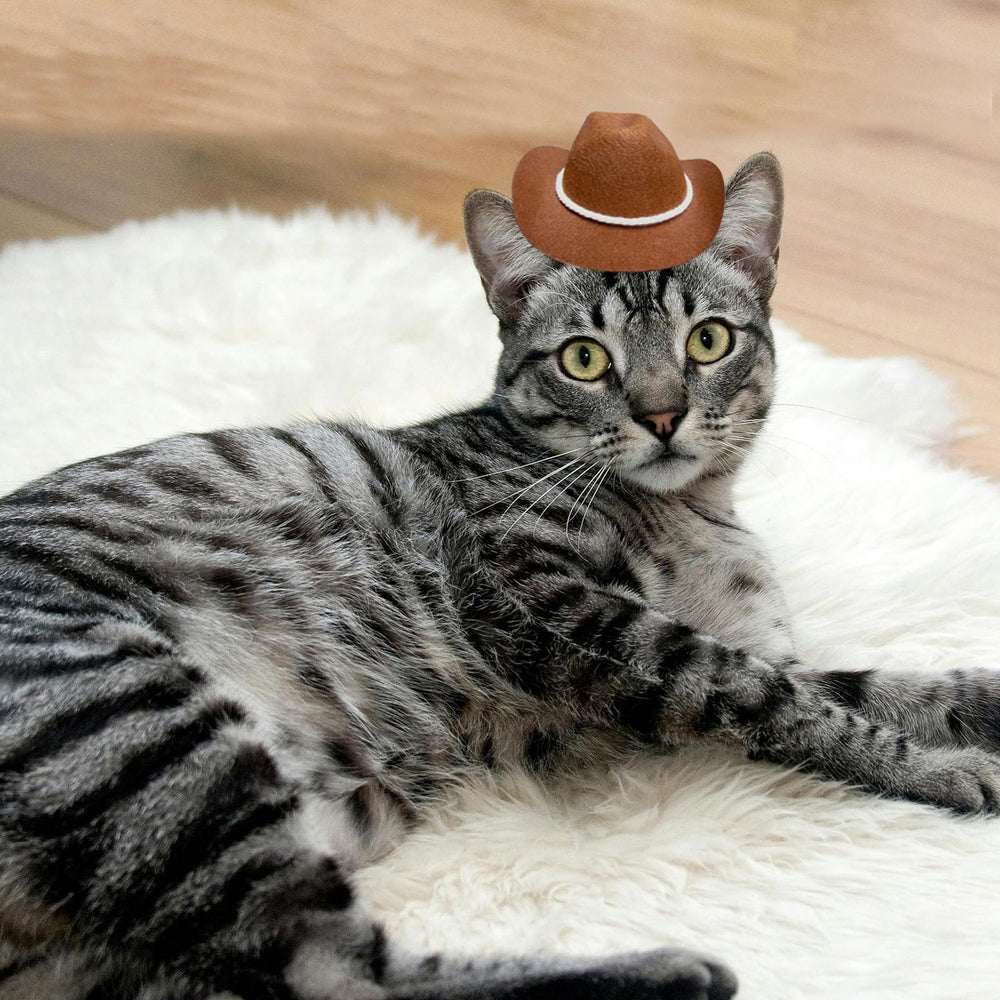 AWOCAN pet cowboy hat adjustable-fit for secure daily wear and events.
