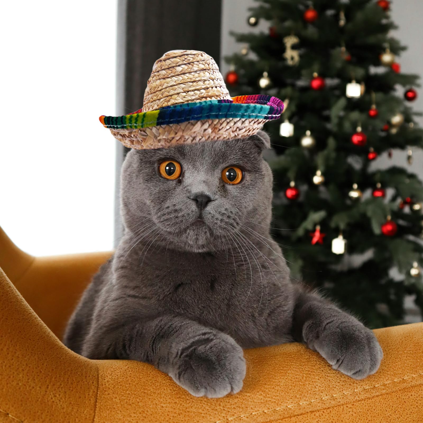 AWOCAN pet straw hat for Cinco de Mayo celebrations inspires playful looks.