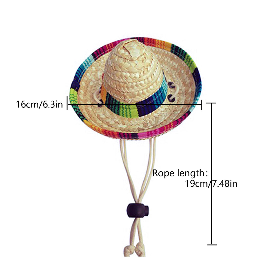 AWOCAN pet straw hat mini-portrait captures adorable styling.