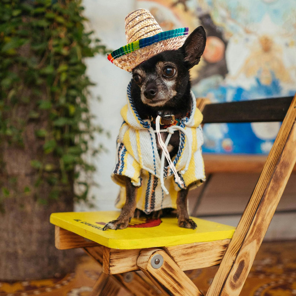AWOCAN pet straw hat portable design makes it easy to carry.