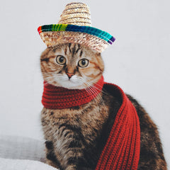 AWOCAN pet straw hat worn by a pet creates portrait-ready photos.