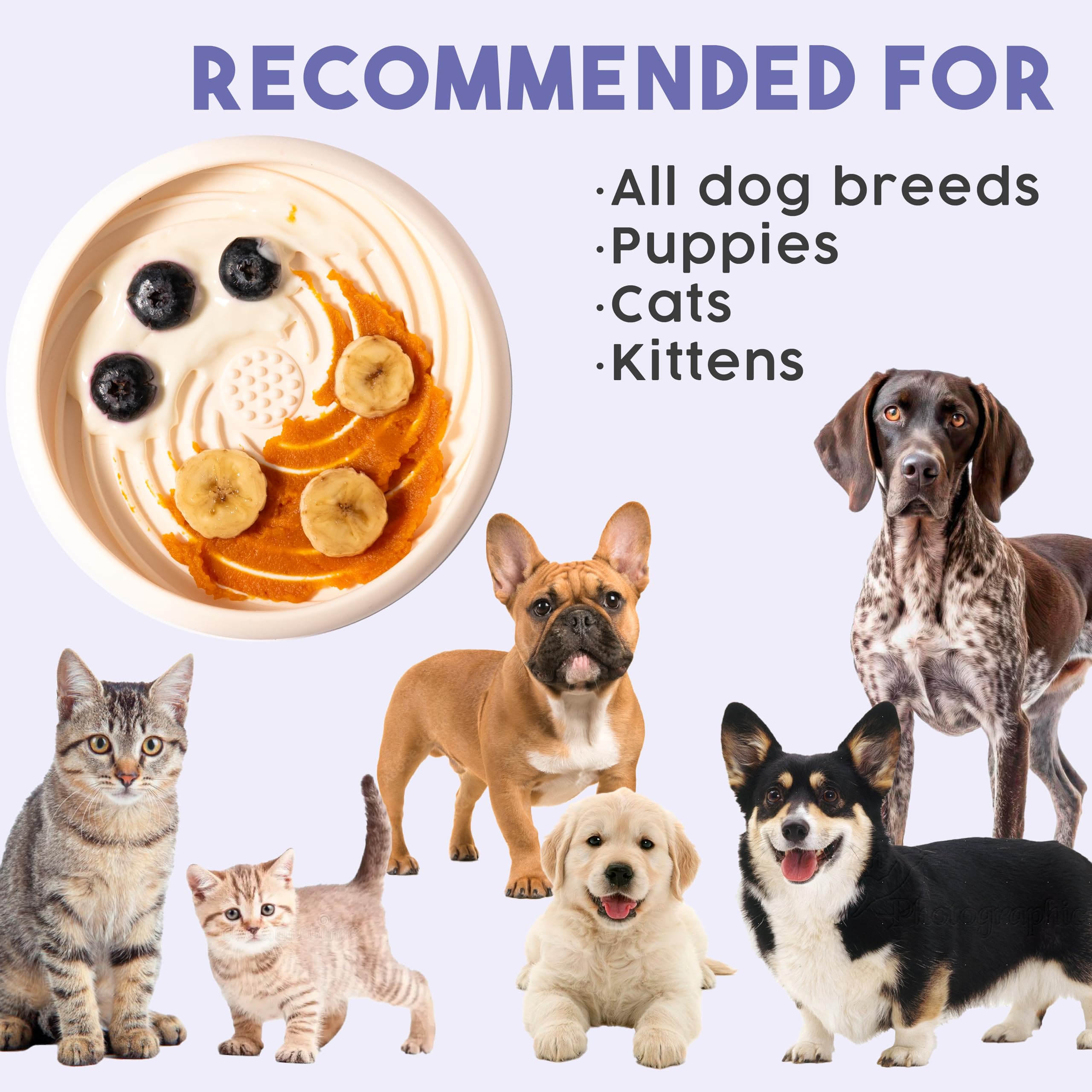 Awoo lick dish cream color complements any pet-friendly space.