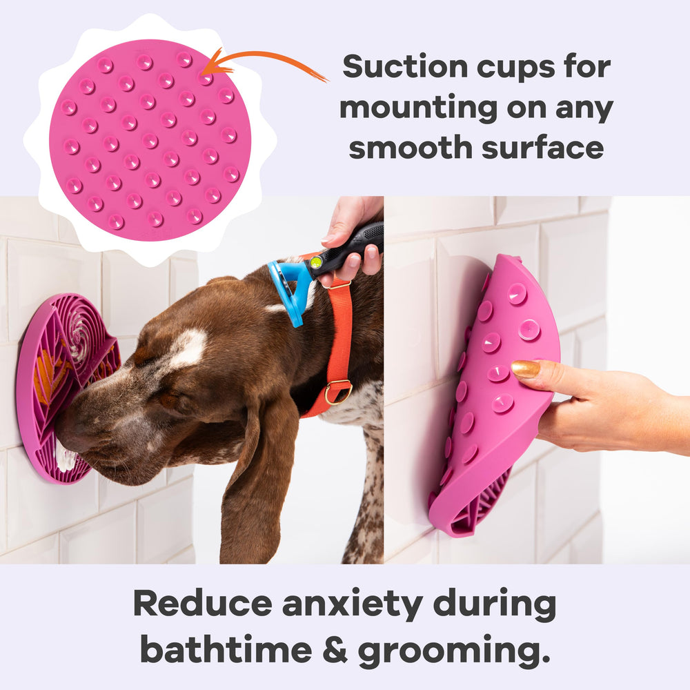 Awoo Paradise suction cups secure the mat on floors during feeding.