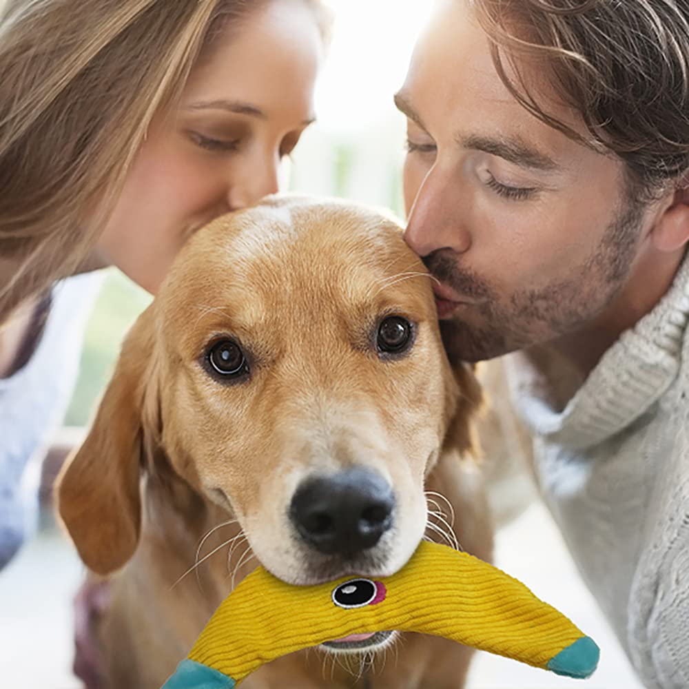 AWOOF interactive chew toy designed to fight boredom in dogs