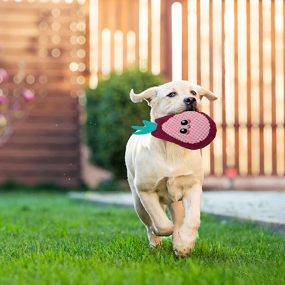 AWOOF squeaky crinkle toy fun boredom-busting for dogs
