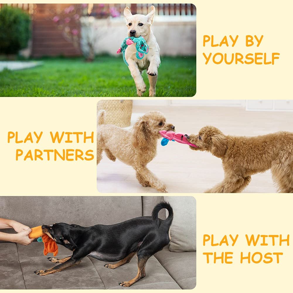 AWOOF 9 squeaker design inside boosts engagement during play sessions