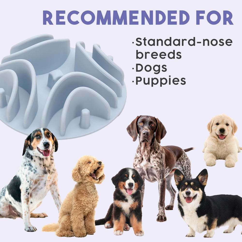 Awoo Great Vibes non-toxic materials emphasize safety and eco-friendliness