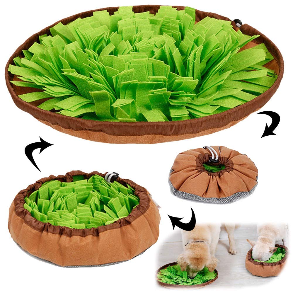 AWOOOF snuffle mat dog interactive setup highlighting hidden treats for mental stimulation and slow feeding