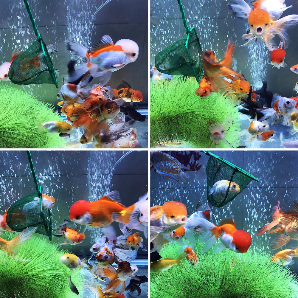 Awpeye debris-removal image shows practical helper for routine tank maintenance