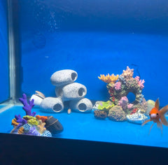 AWXZOM Betta hideout rock cave offers a secure retreat