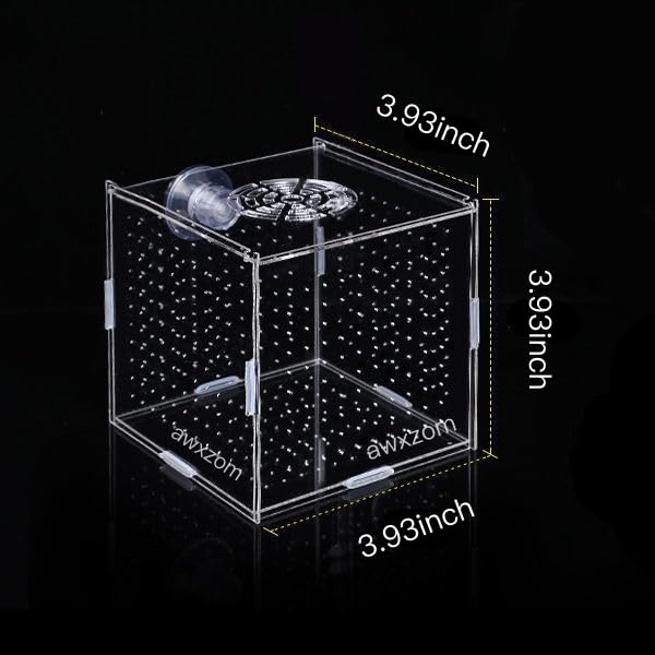 AWXZOM breeding box suction cups installation demonstrates secure placement in tanks