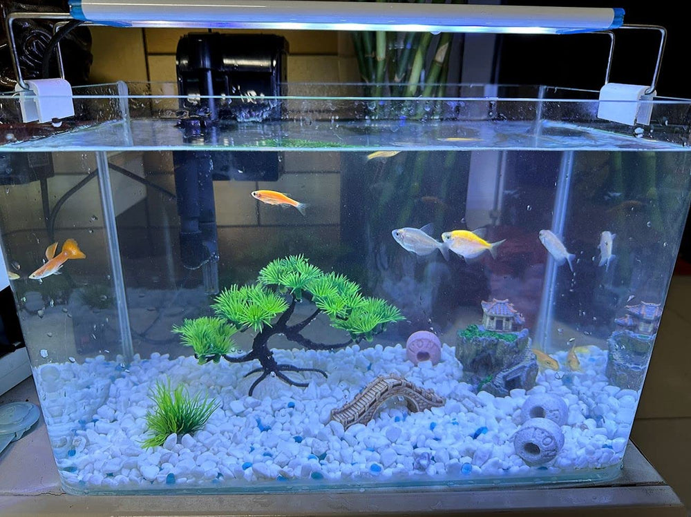 AWXZOM bridge decor adds depth and layout for tiny aquariums