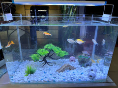 AWXZOM bridge decor adds depth and layout for tiny aquariums