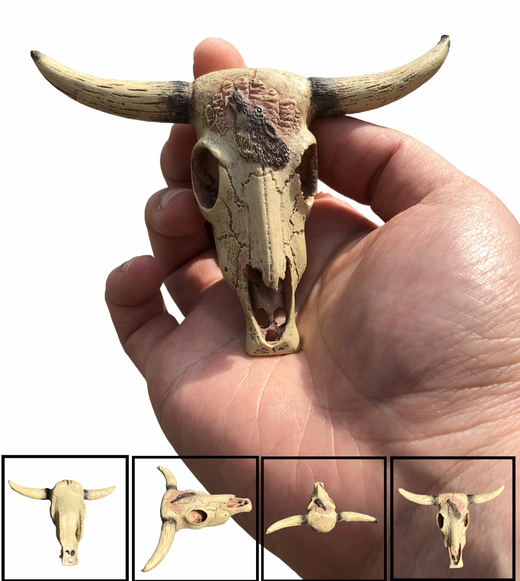 AWXZOM cattle skull decor brings natural desert ambiance to enclosures.