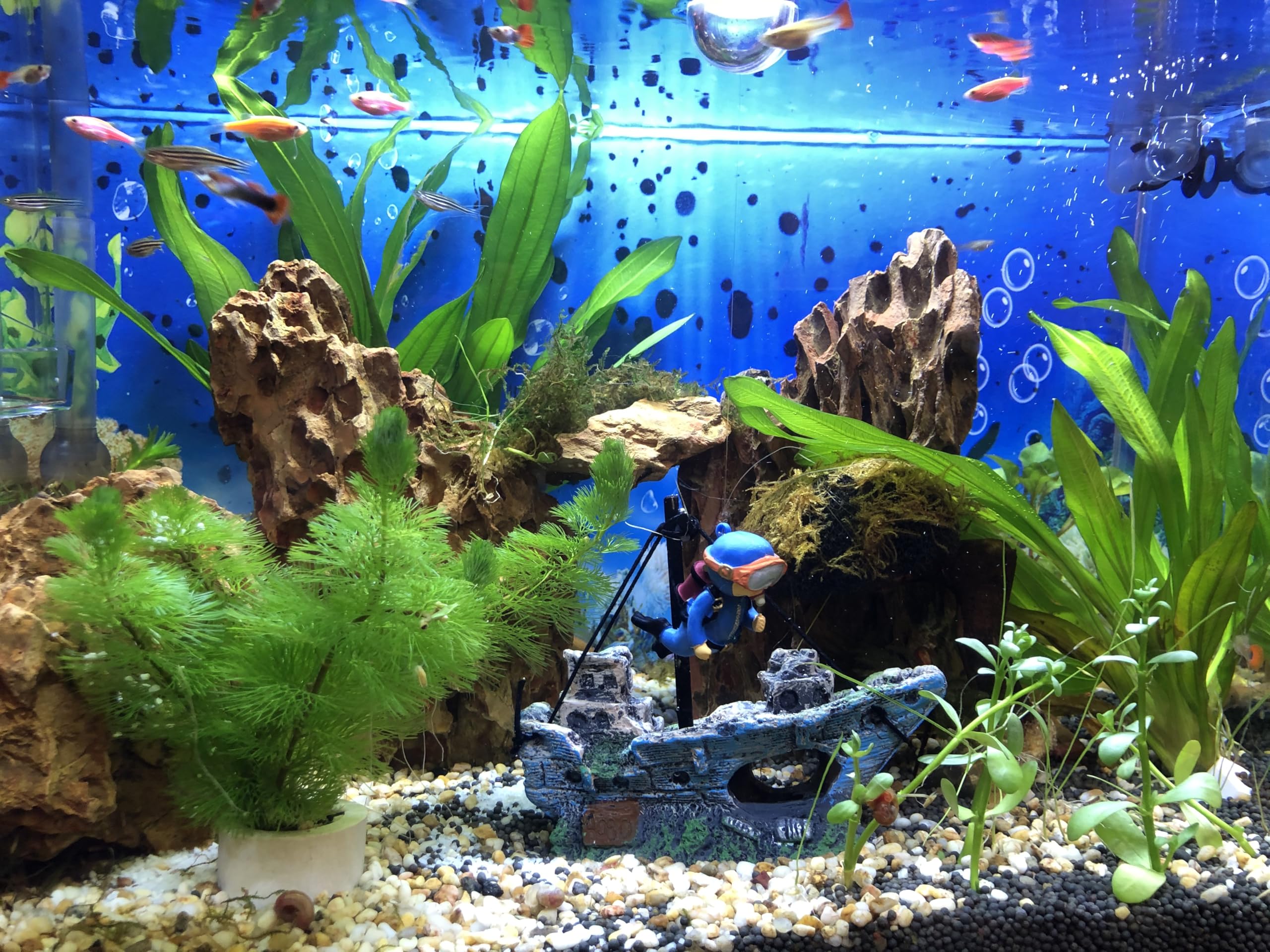 AWXZOM detailed shipwreck ornament suits freshwater and saltwater tanks.