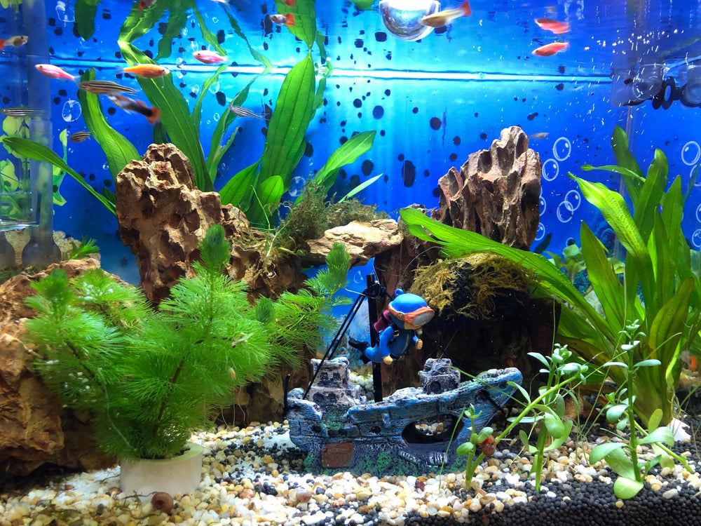 AWXZOM detailed shipwreck ornament suits freshwater and saltwater tanks.
