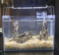 AWXZOM Dragon Rock 6-8 inch focal piece anchors plants in tanks.