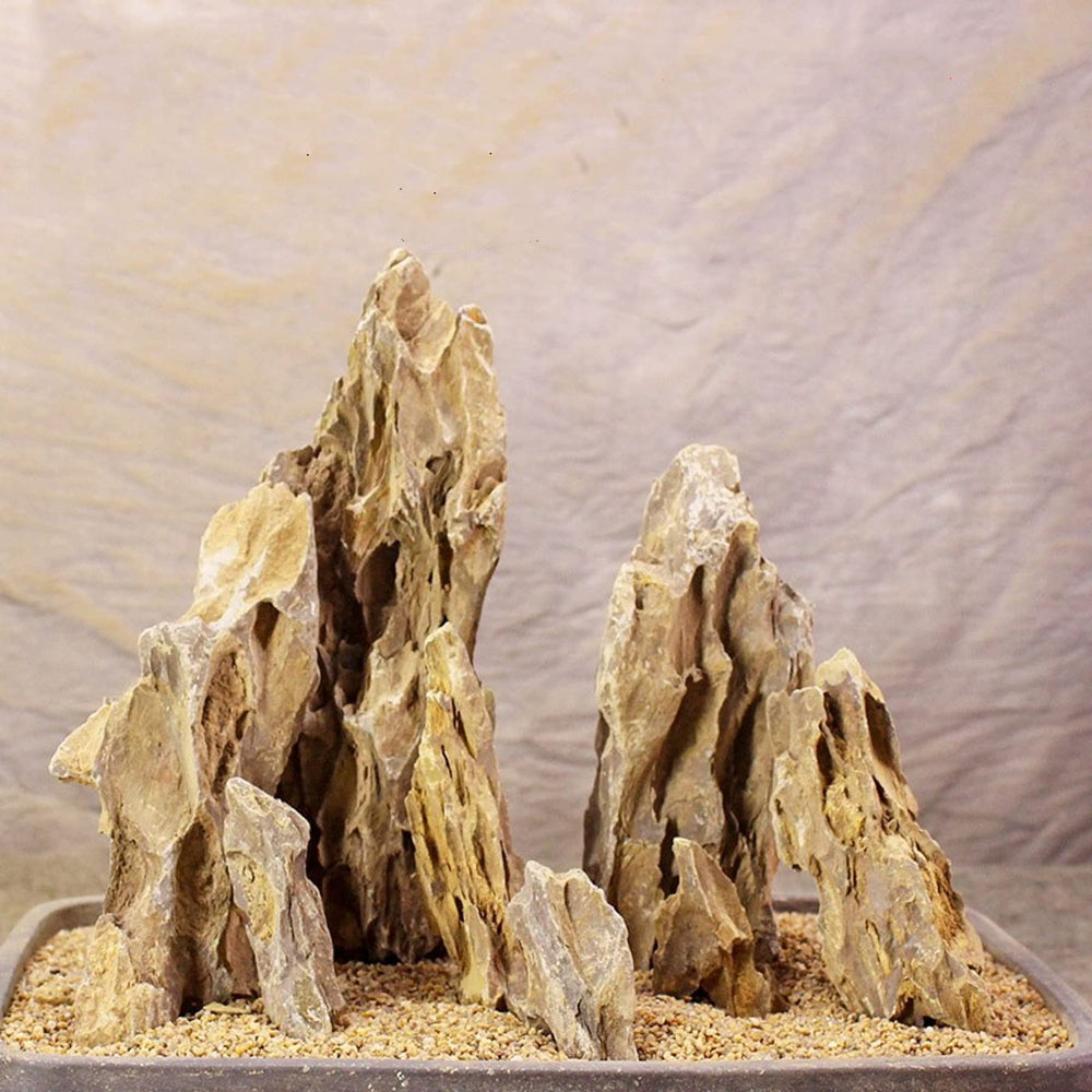 AWXZOM Dragon Rock mixed sizes collection demonstrates natural decor for aquariums.